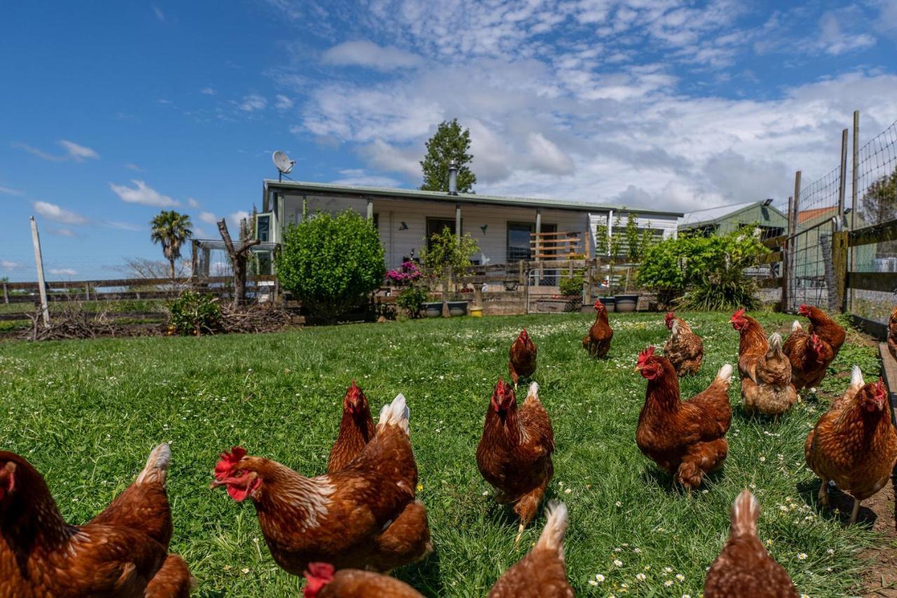 Fantail Cottage Hamilton Bagian luar foto
